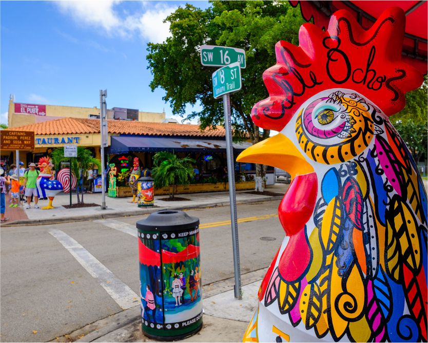 little havana2